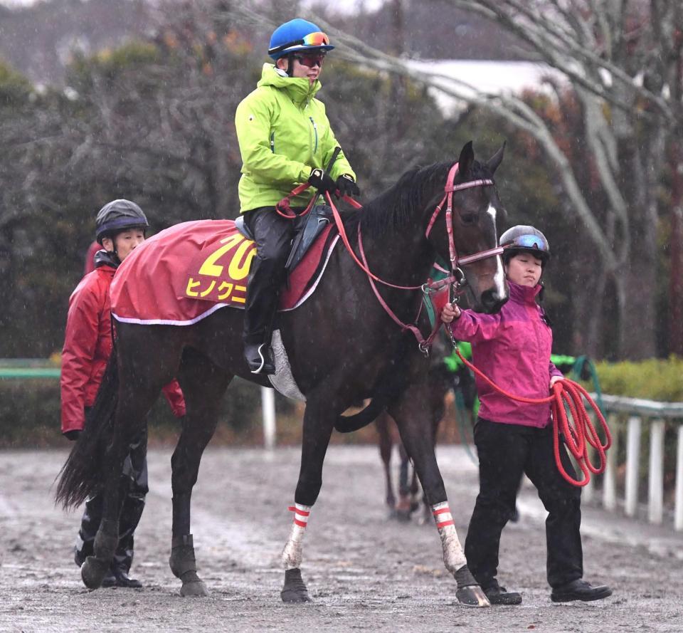 　２歳女王決定戦に挑む九州産馬ヒノクニ