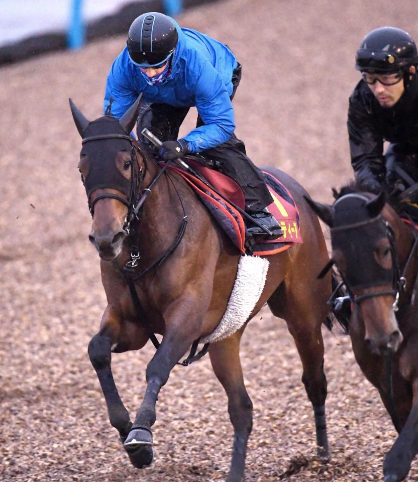 　鋭い切れ味を披露したステルナティーア（撮影・園田高夫）