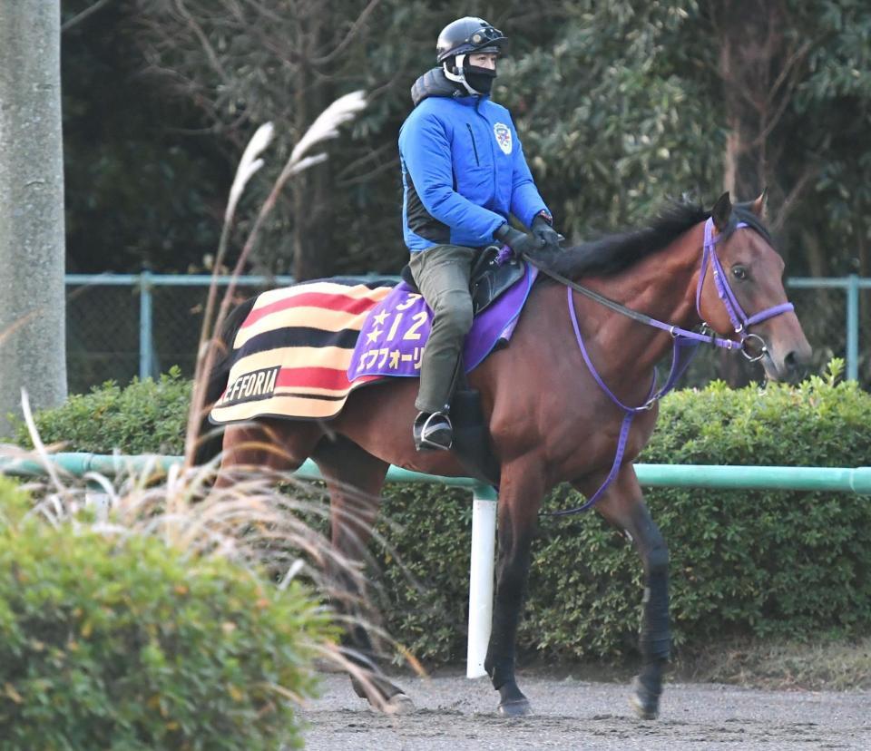 　エフフォーリア（撮影・園田高夫）