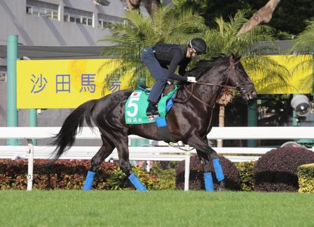 　態勢は整ったグローリーヴェイズ（（Ｃ）Ｈｏｎｇ　Ｋｏｎｇ　Ｊｏｃｋｅｙ　Ｃｌｕｂ）