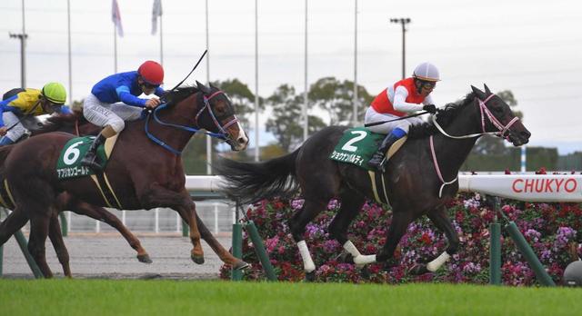 【中日新聞杯】ショウナンバルディ重賞初V 岩田康はJRA重賞100勝達成