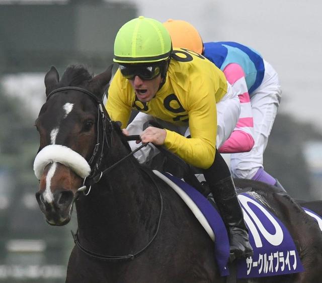 阪神ｊｆ ３番人気サークルオブライフがｖ 競馬 レース デイリースポーツ Online