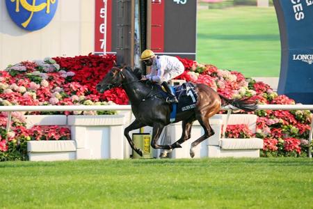 　１６連勝で香港マイルを連覇したゴールデンシックスティ（Ｃ）ＨｏｎｇｋｏｎｇＪｏｃｋｅｙＣｌｕｂ