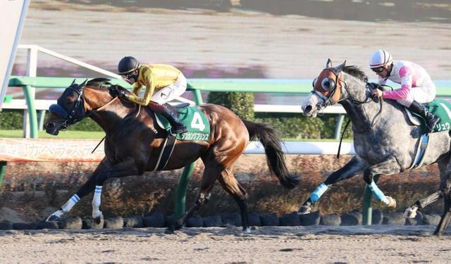 【カペラS】ダンシングプリンス 雪辱V 宮田師は重賞初制覇「宝物のような存在」