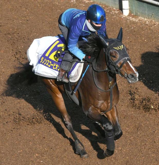 【朝日杯ＦＳ】ダノンスコーピオン　万全の態勢　松山「きっちり仕上がった」