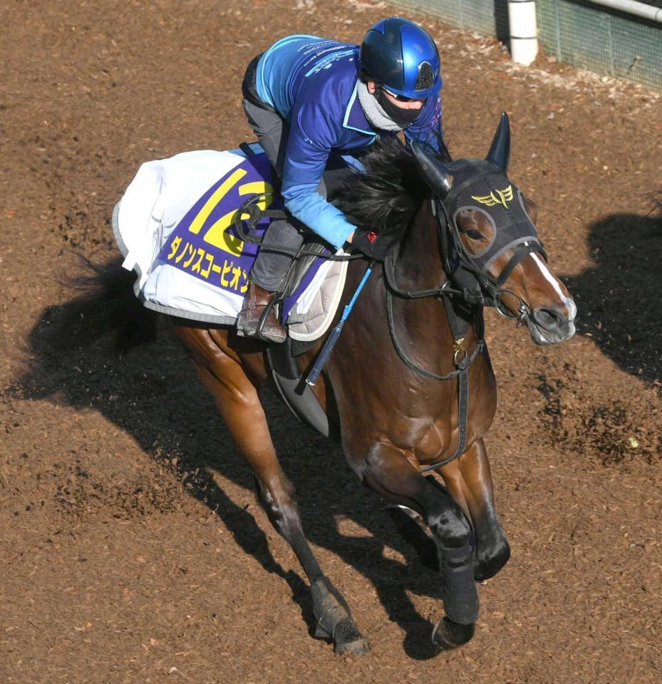 　松山を背に好ムードを漂わせたダノンスコーピオン（撮影・北村雅宏）