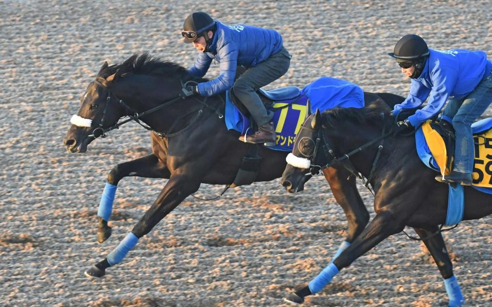 　きっちり追走先着を決めたコマンドライン（奥）＝撮影・三好信也