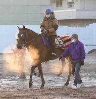 　ファン投票１位エフフォーリアと大一番へ臨む横山武（右は鹿戸師）