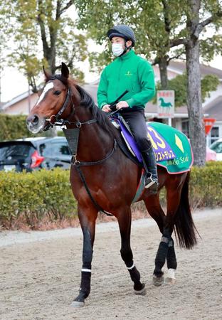 　運動するアリストテレス（撮影・石湯恒介）