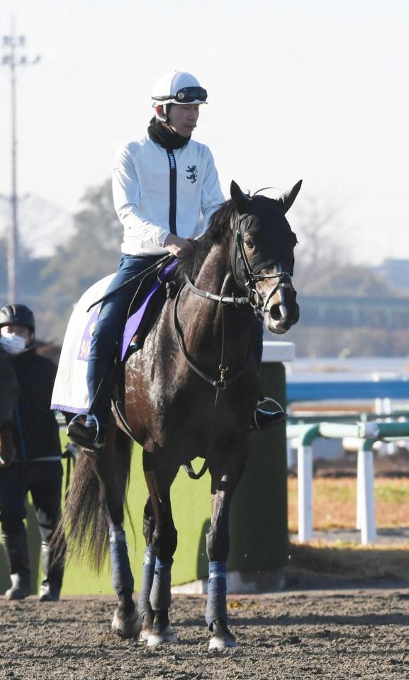 有馬記念】タイトルホルダー貫禄見せる 菊花賞馬が順調アピール/競馬・レース/デイリースポーツ online