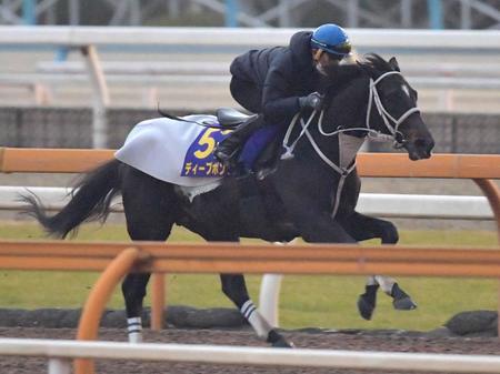 　和田竜を背に栗東ＣＷを駆け抜けるディープボンド＝撮影・佐々木彰尚