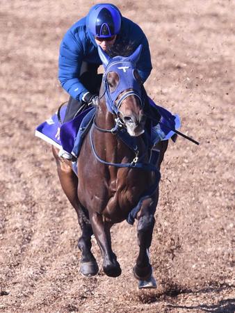 　リラックスした走りを見せたアサマノイタズラ