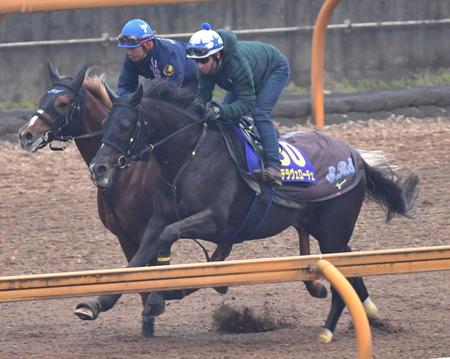 　Ｍ・デムーロを背にシャープに伸びたステラヴェローチェ（手前）