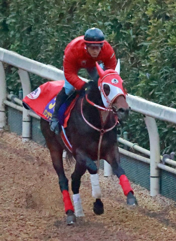 有馬記念 パンサラッサ 楽 に好時計 矢作師逃げ宣言 行かせないと意味ない 競馬 レース デイリースポーツ Online