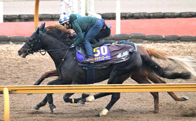 有馬記念】ステラおじさん登場？ステラヴェローチェが前々日単勝１番