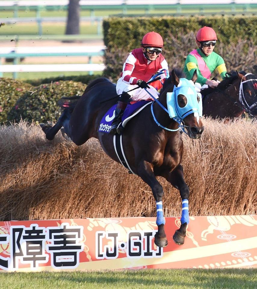 オジュウチョウサン 競走馬 競馬 | stemily.org