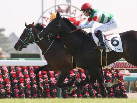 　ヴァンガーズハートを内から差し切ったルージュエヴァイユ（左）＝中山競馬場