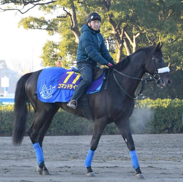 【３歳馬格付けチェック番外編】コマンドライン見限れない　ナミュールは高素質