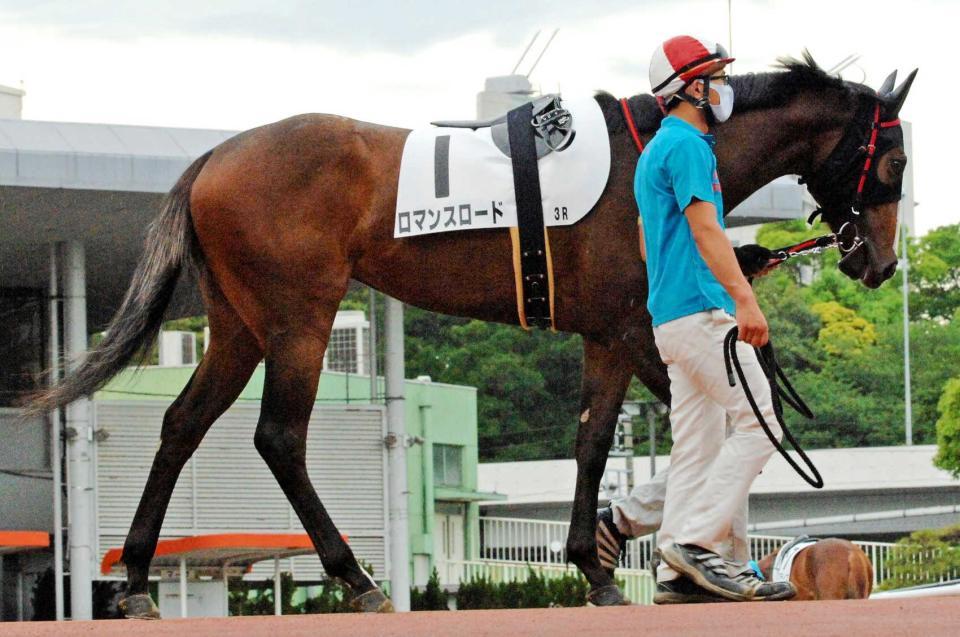 　ロマンスロード（ＴＣＫ提供）