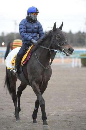 　この時季に良績を残すウインイクシード