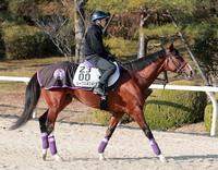 　得意の中京で反撃を期すルークズネスト