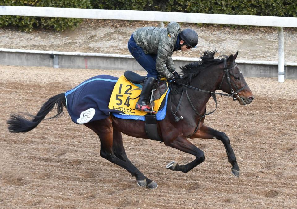 　原とのコンビで挑むトーラスジェミニ
