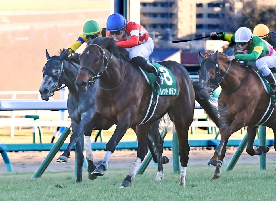 　鮮やかに抜け出したレッドガラン（撮影・三好信也）