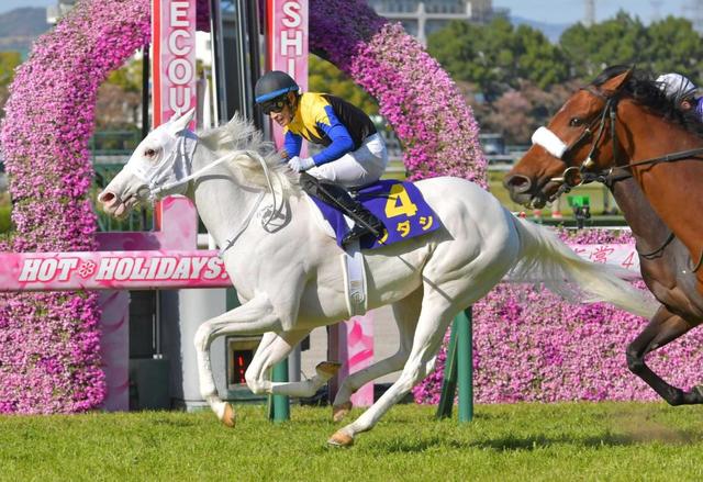 ソダシ 最優秀３歳牝馬に選出 アイドルの道まい進 須貝師 心から感謝 競馬 レース デイリースポーツ Online