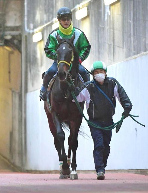 【日経新春杯】6歳馬マイネルウィルトス 勝負の年、タイトル奪取に燃える