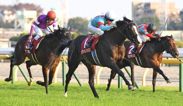 イクイノックスは皐月賞直行　現在はノーザンファーム天栄で調整中