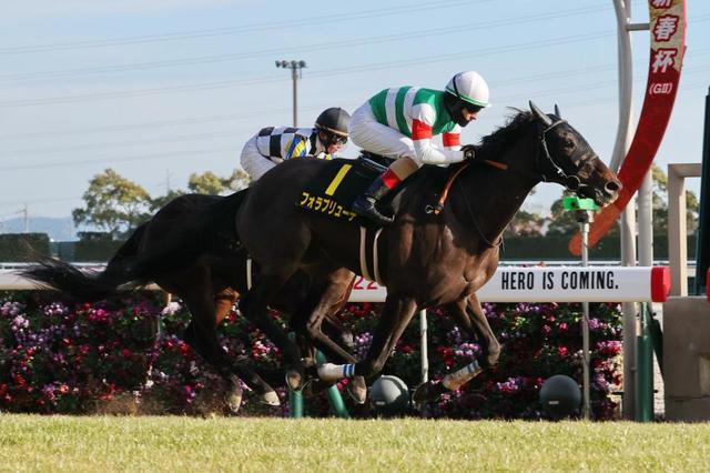 【紅梅Ｓ】フォラブリューテ　直線外から一気に突き抜け２勝目　ルメール「すごくいい脚」