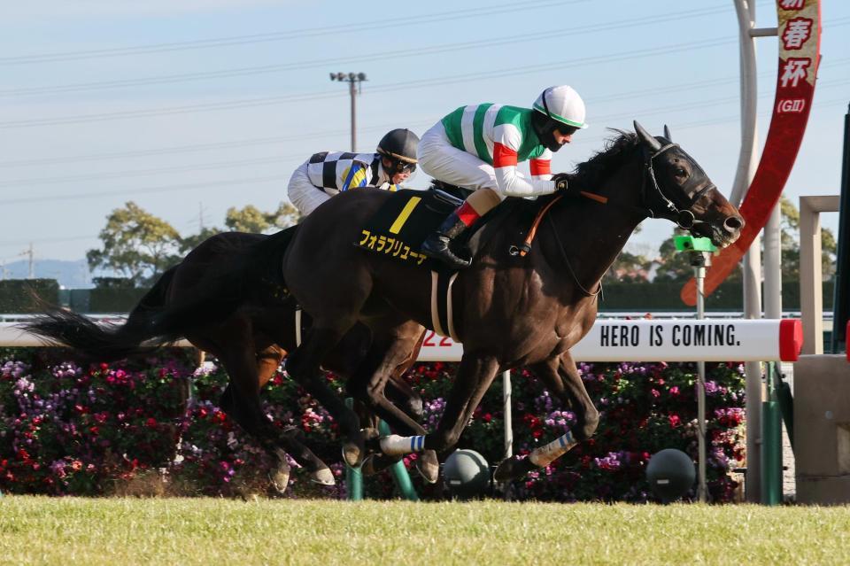 　紅梅ステークスを制したフォラブリューテ＝中京競馬場