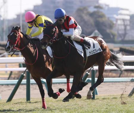　バンデルオーラをかわすウインエクレール（右）＝中山競馬場