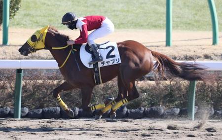 　後続を突き放したチャプリ＝中山競馬場