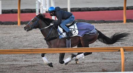 　迫力満点の動きを披露したサンライズホープ（撮影・北村雅宏）