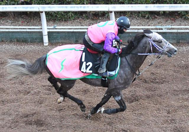 【ＰＯＧ】２９日１勝クラスで再びアロゲート対決が実現！（栗東発）