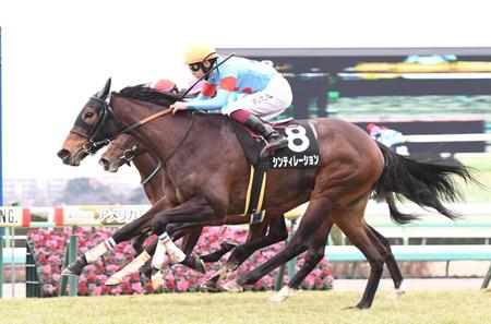 　若竹賞を制したシンティレーション＝中山競馬場（撮影・園田高夫）