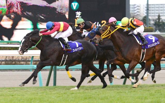 馬名 ウマピョイ に ウマ娘 ファン歓喜 伝説 実況期待 競馬 レース デイリースポーツ Online