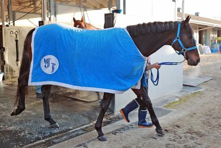 　４カ月ぶりも仕上がり良好なジャンダルム