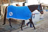 　４カ月ぶりも仕上がり良好なジャンダルム