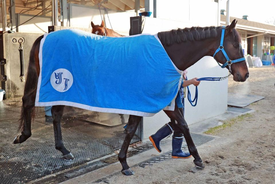 　４カ月ぶりも仕上がり良好なジャンダルム