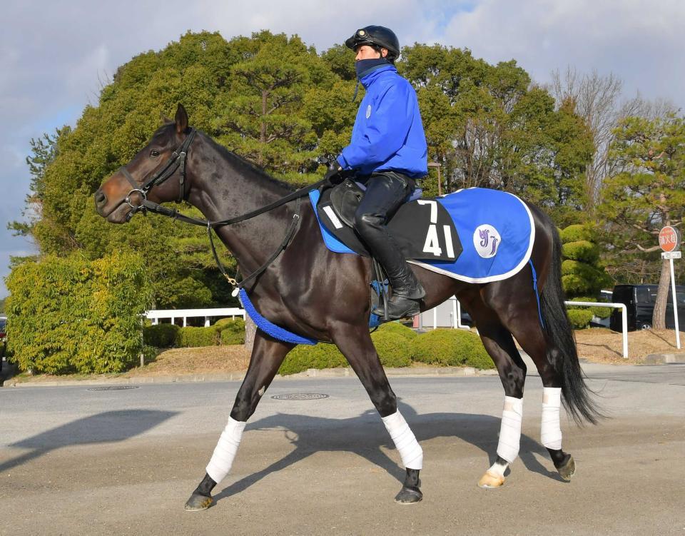 中京＆東京の危険な人気馬】東京11R ディープモンスター/競馬