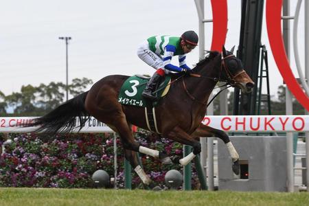 シルクロードステークスを制したメイケイエール