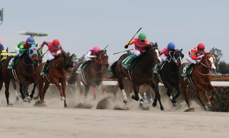 力強く抜け出すテイエムサウスダン（右から３頭目）。右から２頭目はヘリオス、左端はタガノビューティー