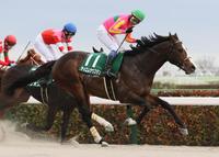 根岸Ｓを制したテイエムサウスダンの馬上で雄叫びをあげる岩田康