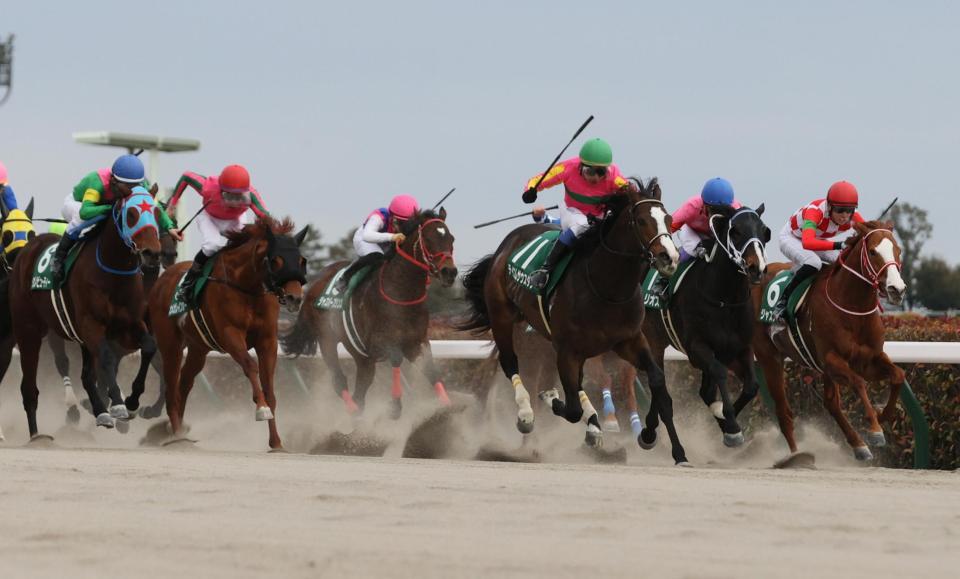 力強く抜け出すテイエムサウスダン（右から３頭目）。右から２頭目はヘリオス、左端はタガノビューティー
