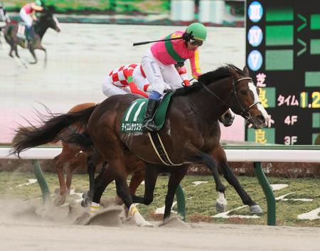 　根岸Ｓを制したテイエムサウスダンの馬上でポーズを決める岩田康
