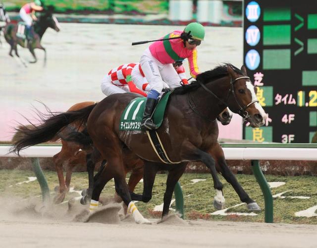 【根岸Ｓ】レース前にアクシデント　関係者立ち入り発走５分遅れ