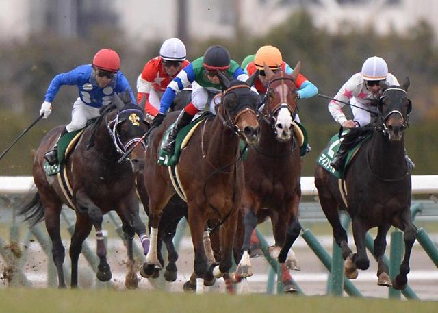 【シルクロードＳ】メイケイエール　復活の重賞４勝目　武英師「最高の競馬だった」