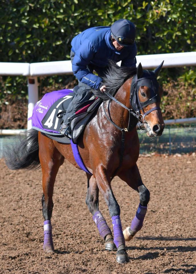 　重賞初制覇を目指す良血馬ダンテスヴュー